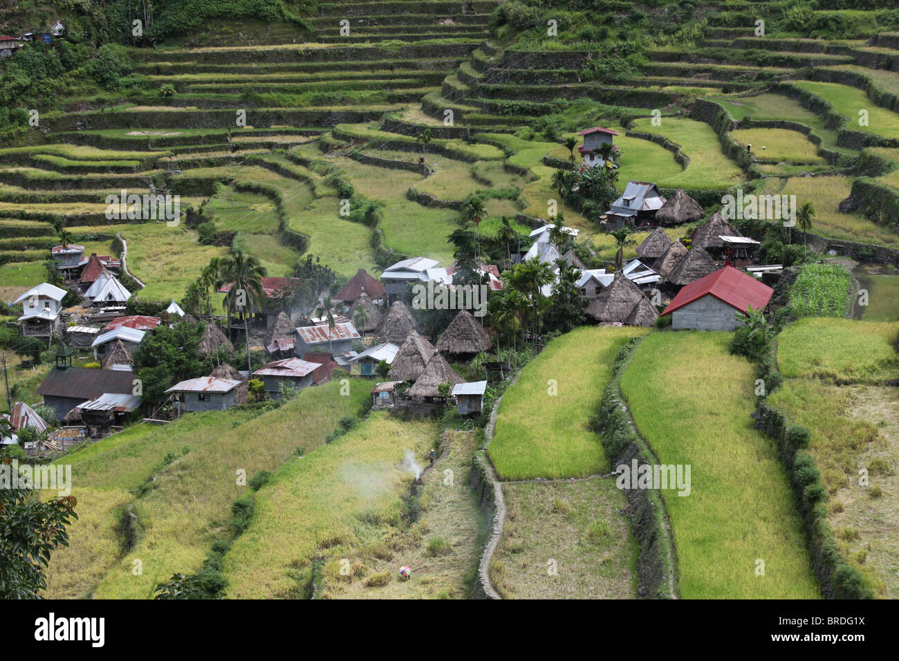 Las terrazas de arroz de las cordilleras de Filipinas son un ejemplo