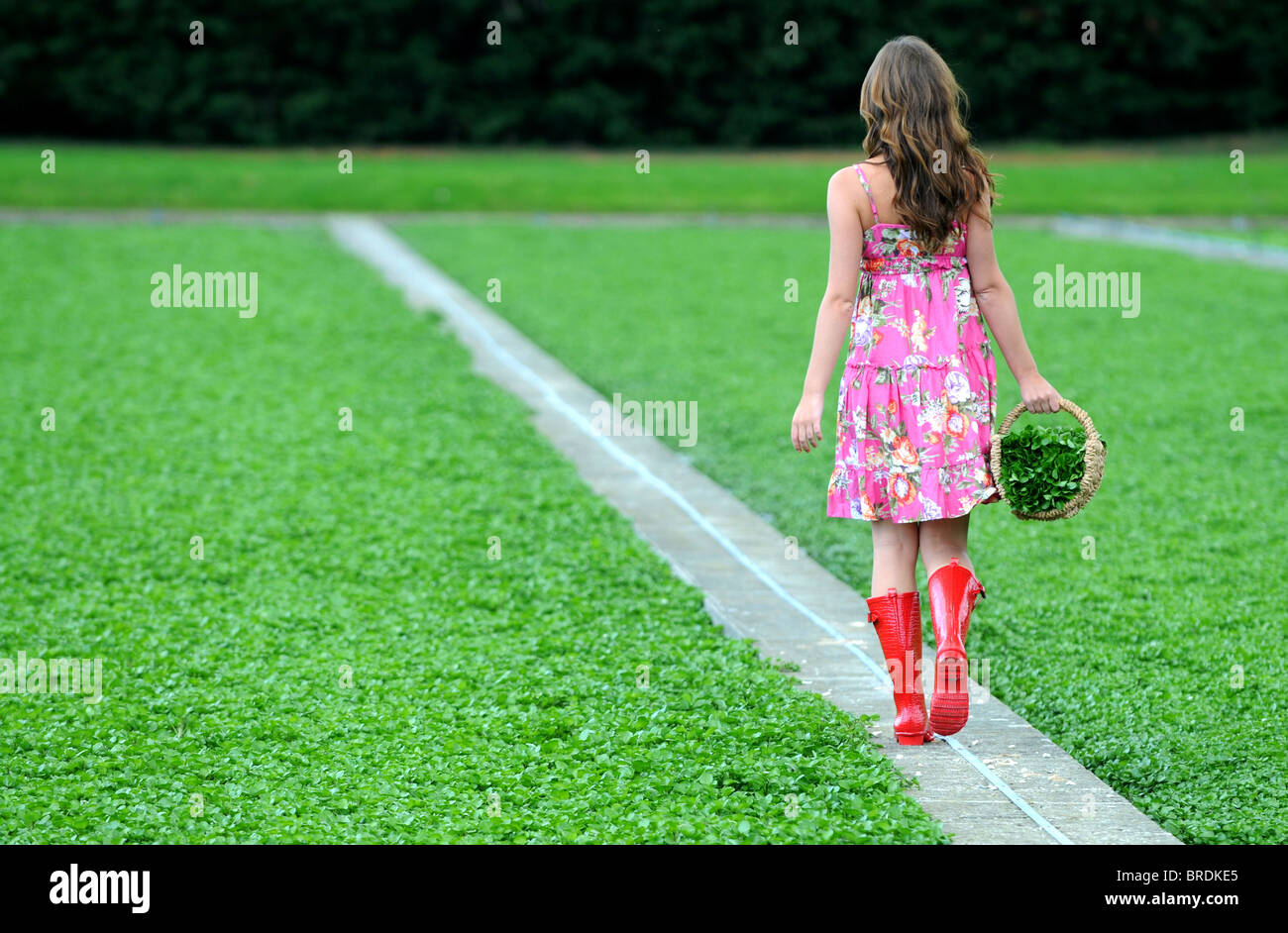 Granja de berro, mujer en una granja de berro Foto de stock