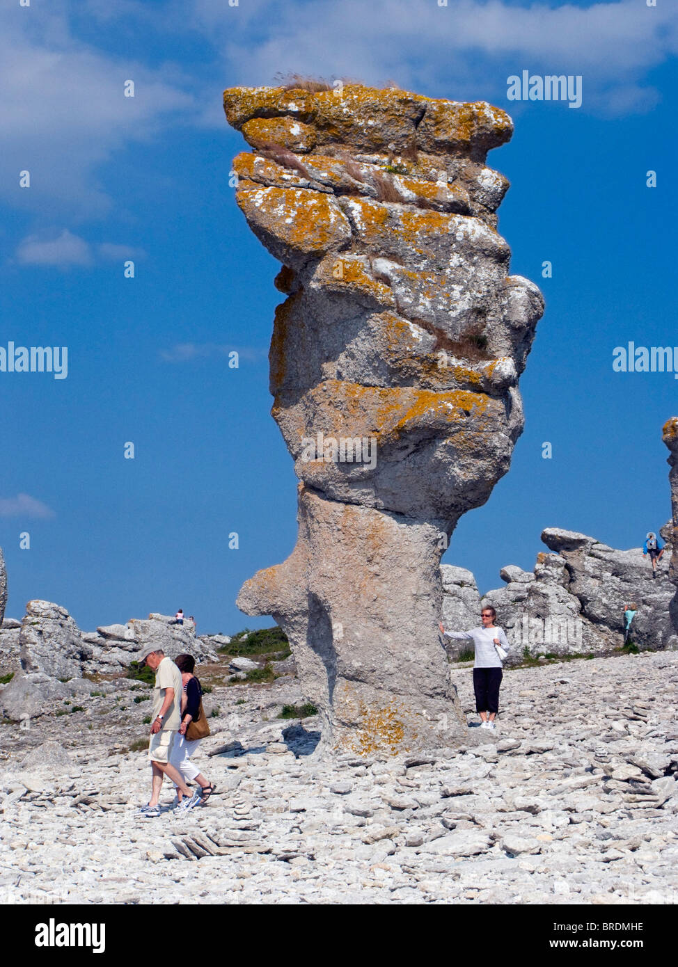 Los turistas por la seastacks en Langhammar erosionado, restos de millones de años de antigüedad de los arrecifes de coral. Foto de stock