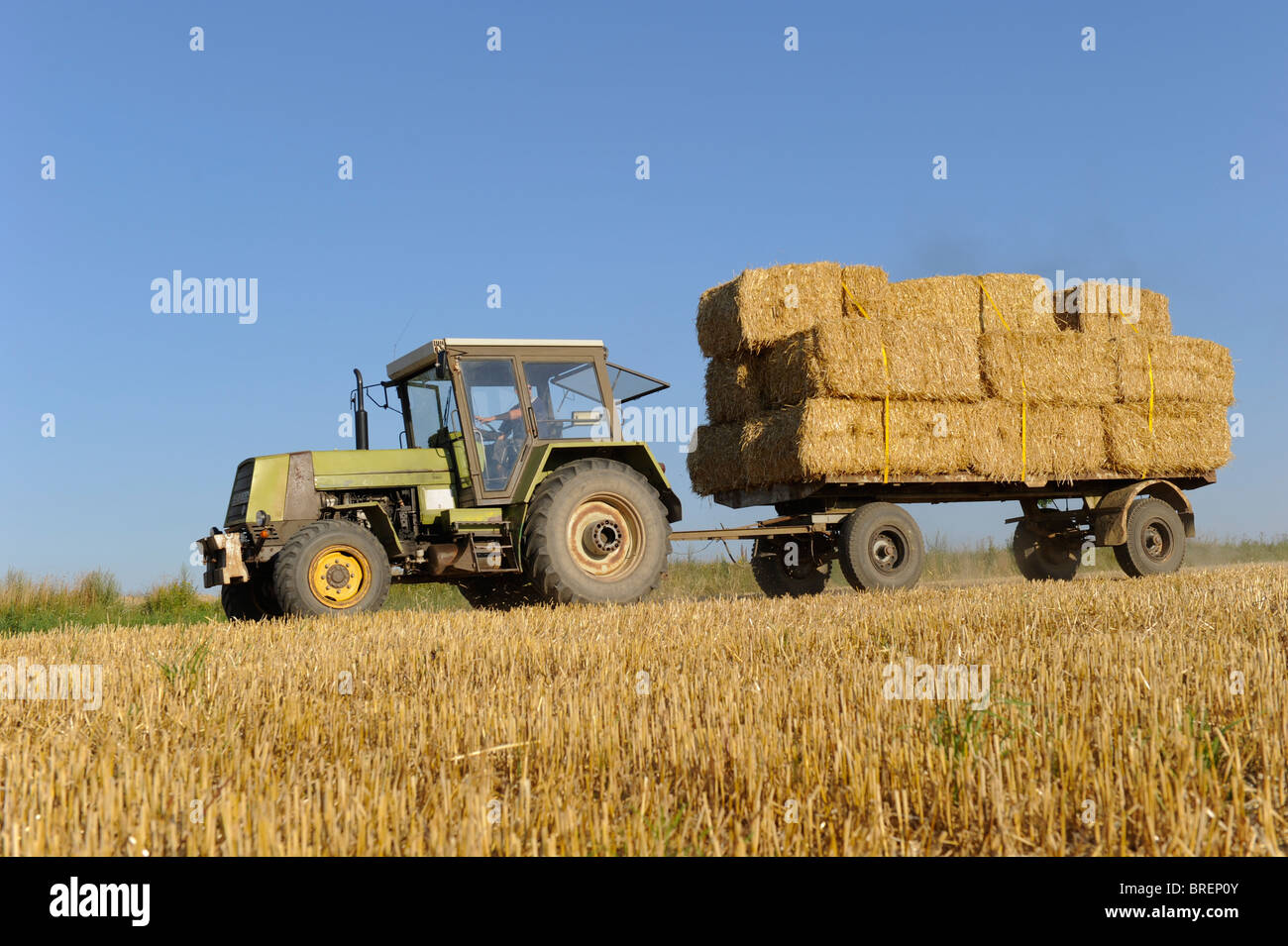Alemania tractor transportar fardos de paja Foto de stock