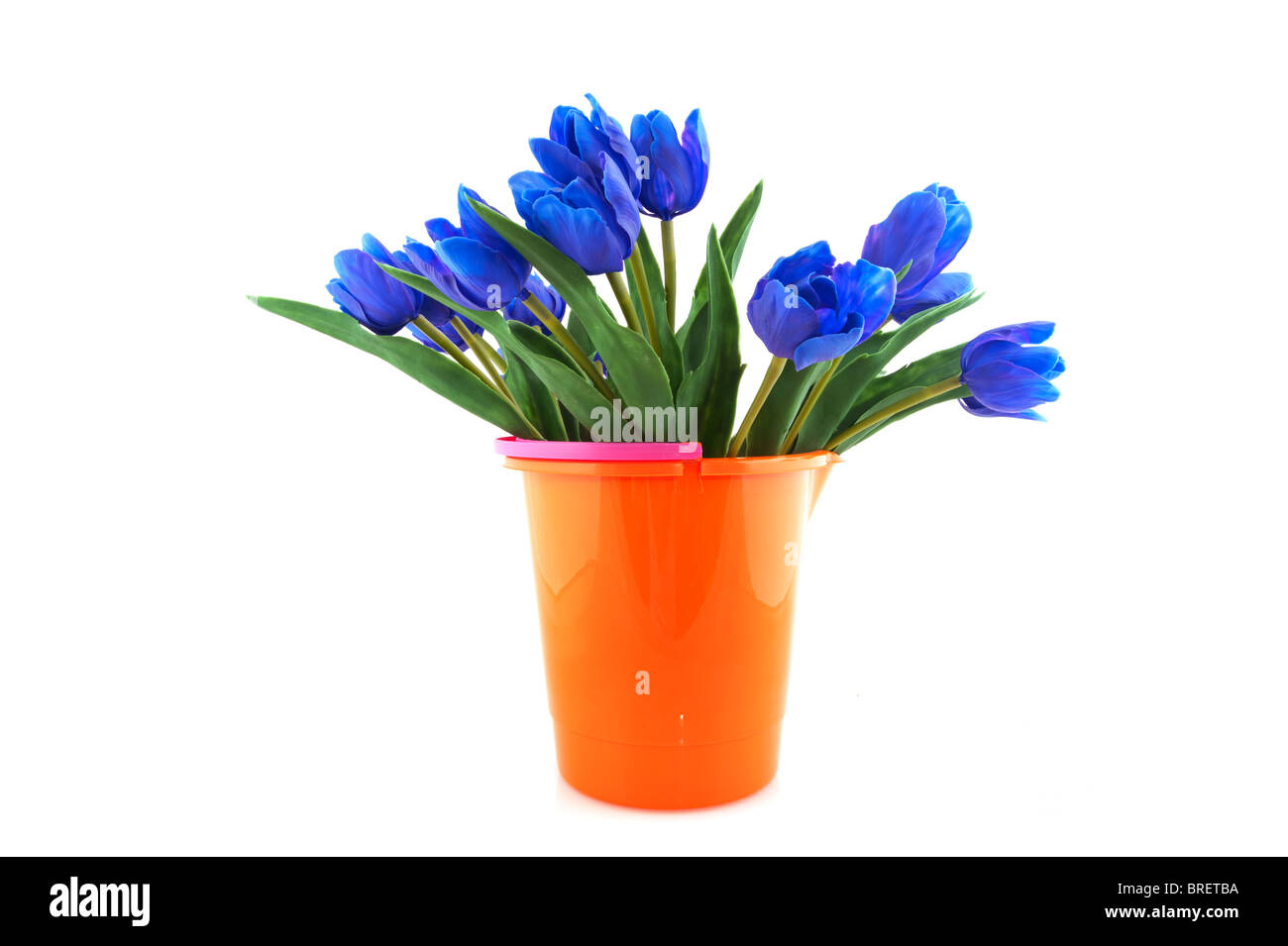 Kitsch tulipanes azules en balde de plástico naranja Fotografía de stock -  Alamy