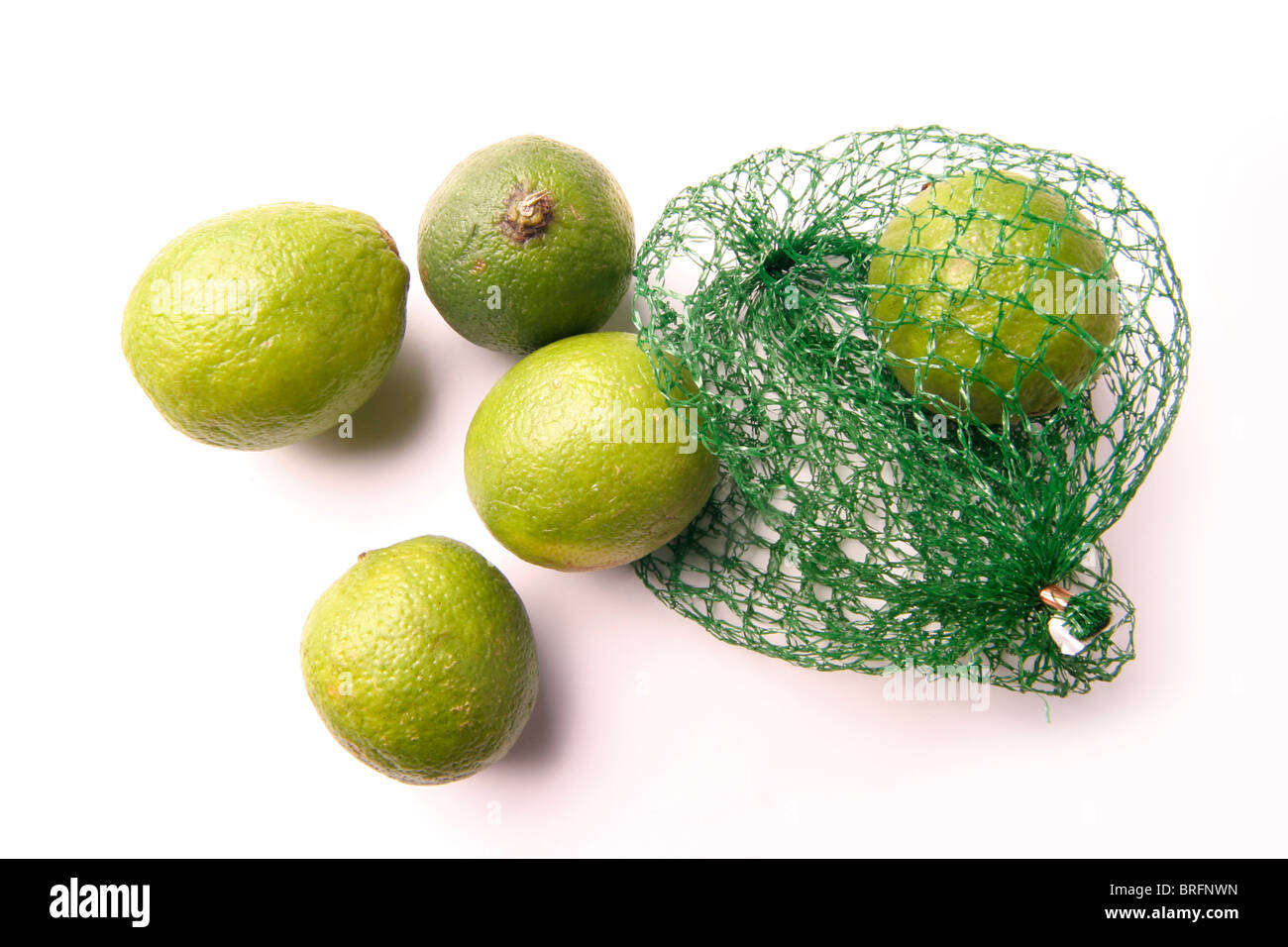 Limette (Citrus latifolia) Foto de stock