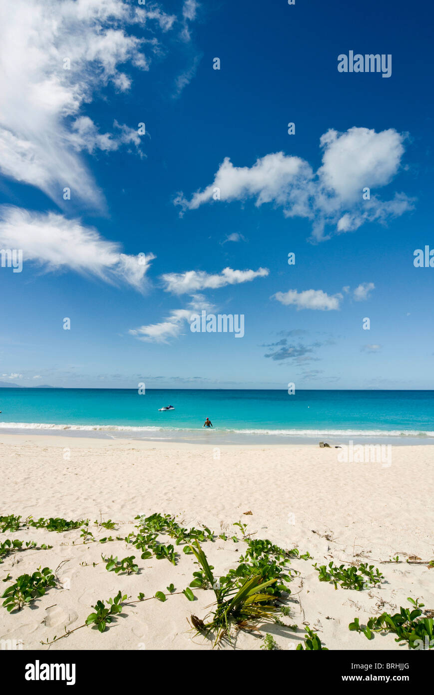 Playa de Darkwood, Antigua y Barbuda, Antillas, Caribe, América Central Foto de stock