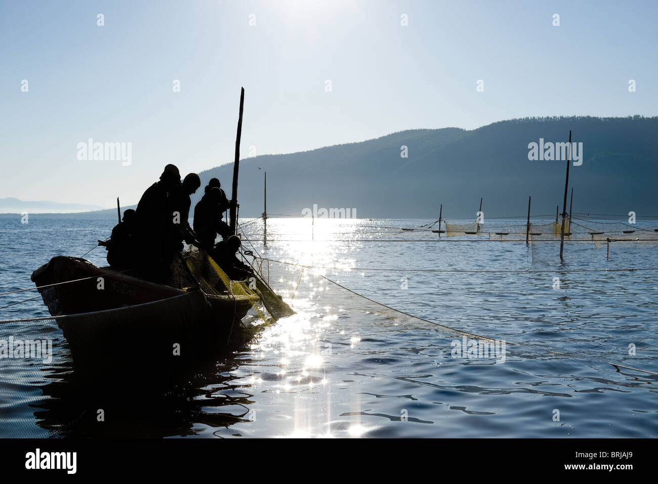 Los pescadores en un barco lance un cerco Foto de stock