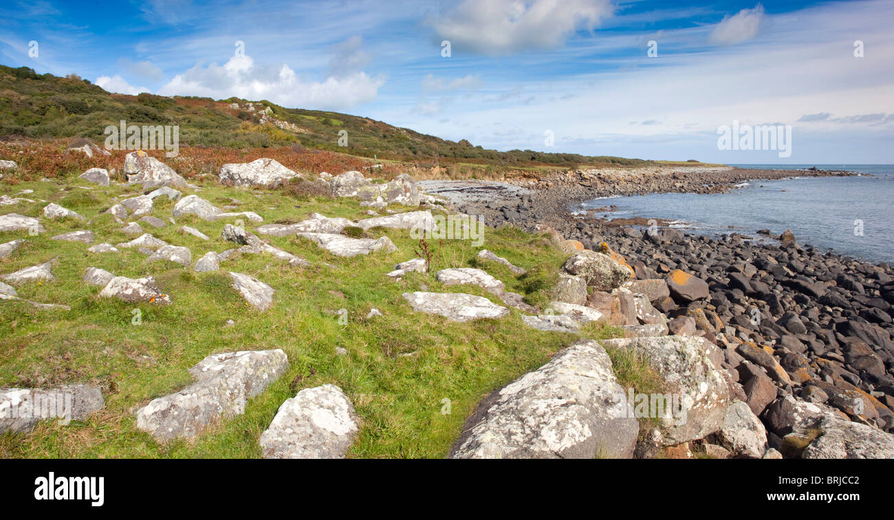 Playa levantada en tierras bajas; cerca del punto Coverack; Cornwall Foto de stock