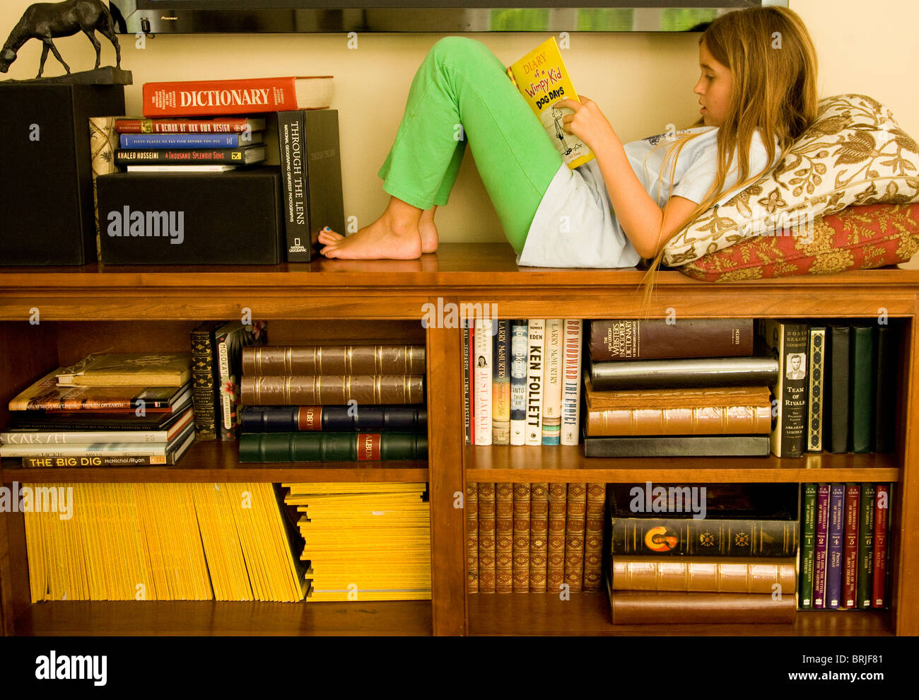 Chica en la estantería leyendo un libro Foto de stock