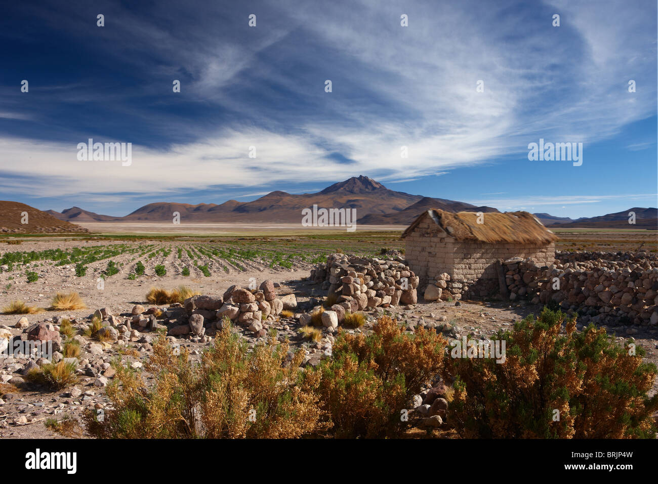 Tupan Vulcan y la casa de un campesino en el altiplano, Bolivia Foto de stock