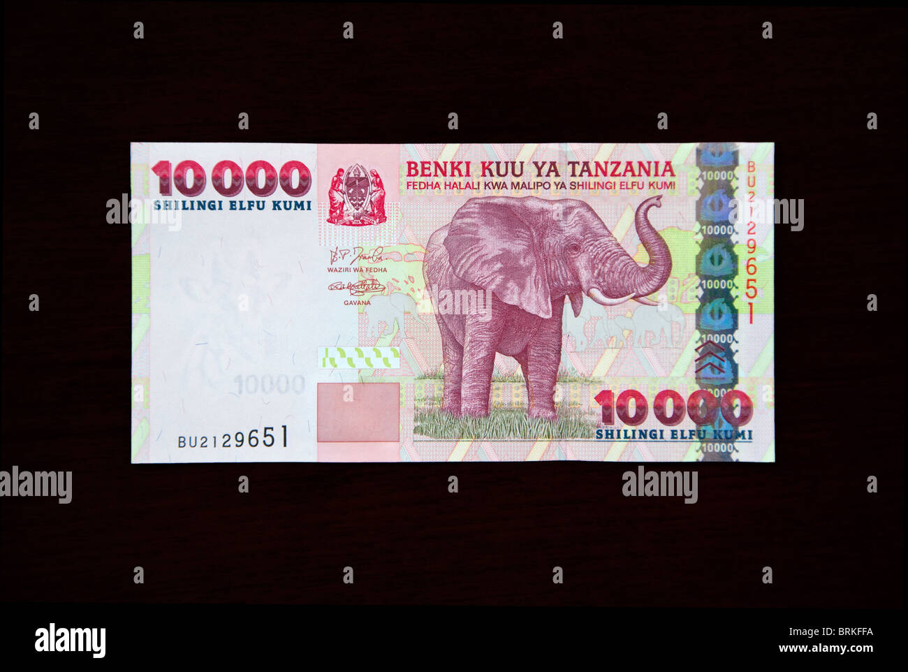 Zanzíbar, Tanzania. Billetes de Tanzania. 10.000 chelines, elefantes en la parte delantera, la serie 2003. Foto de stock
