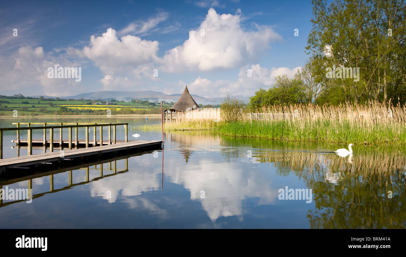 Mañana tranquila en el lago Llangorse, con vistas a la Edad de Hierro y Crannog Pen y Fan más allá, el Parque Nacional de Brecon Beacons, Gales Foto de stock