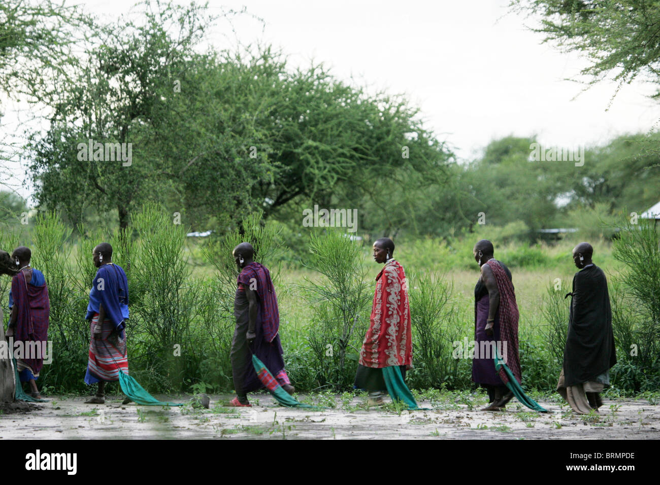 Las mujeres Maasai caminando en una línea como parte de un ritual tribal Foto de stock