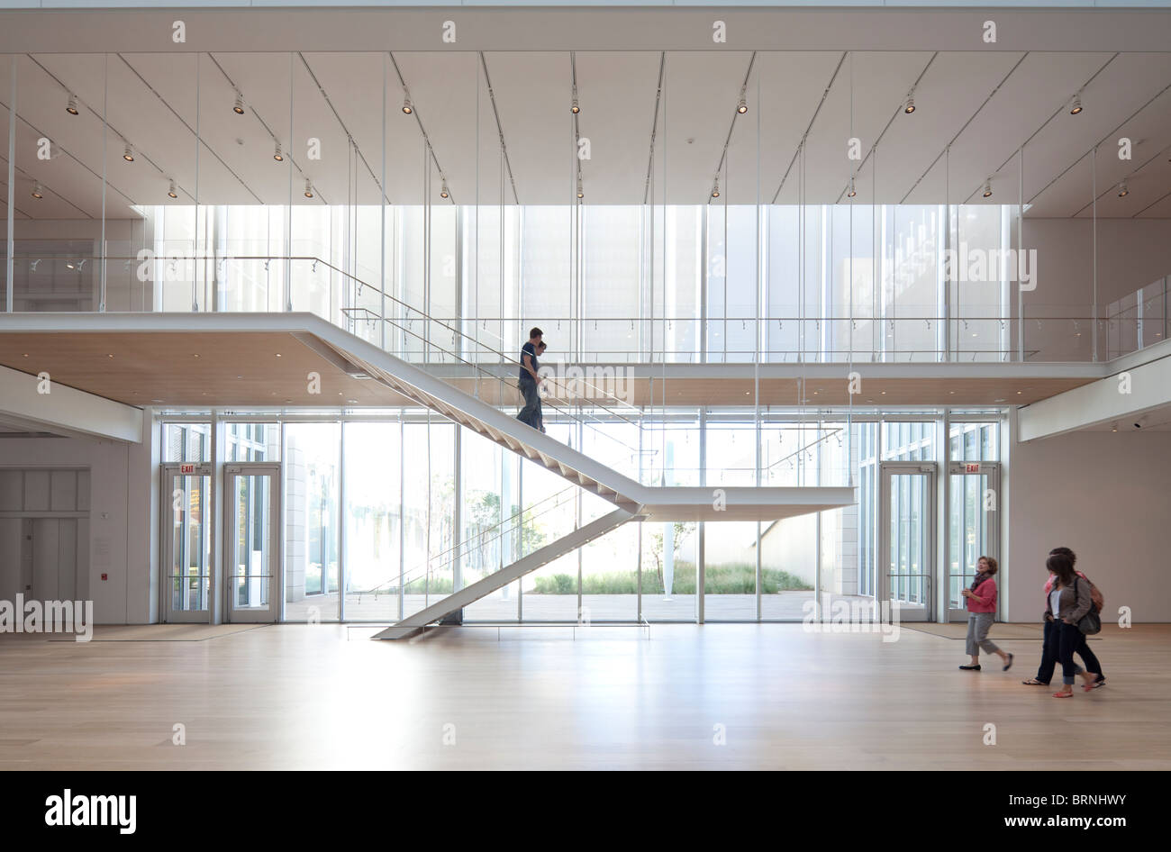 El Instituto de Arte de Chicago ala moderna, diseñado por Renzo Piano,  inaugurado en marzo del 2009 Fotografía de stock - Alamy