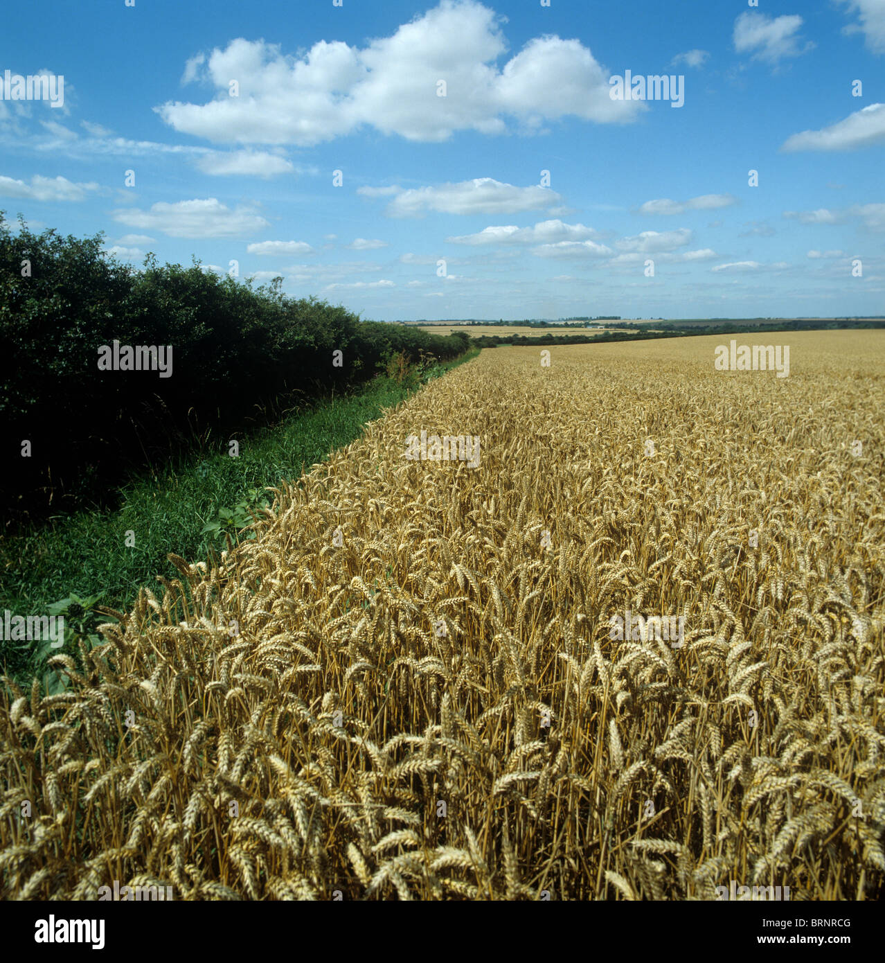 Desnudar fotografías e imágenes de alta resolución - Alamy
