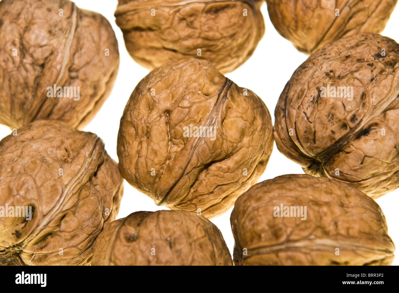 Foto de estudio de nueces Foto de stock