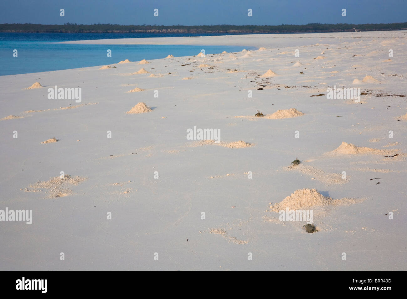 Isla desierta playa cangrejo escena agujeros Foto de stock