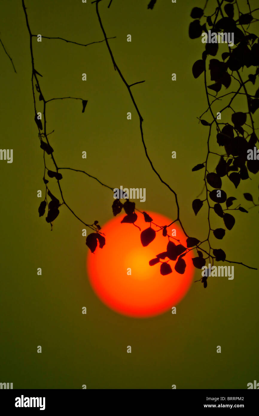 Un gran sol rojo-naranja se cuelga en una espesa atmósfera poco antes de la puesta del sol. Foto de stock