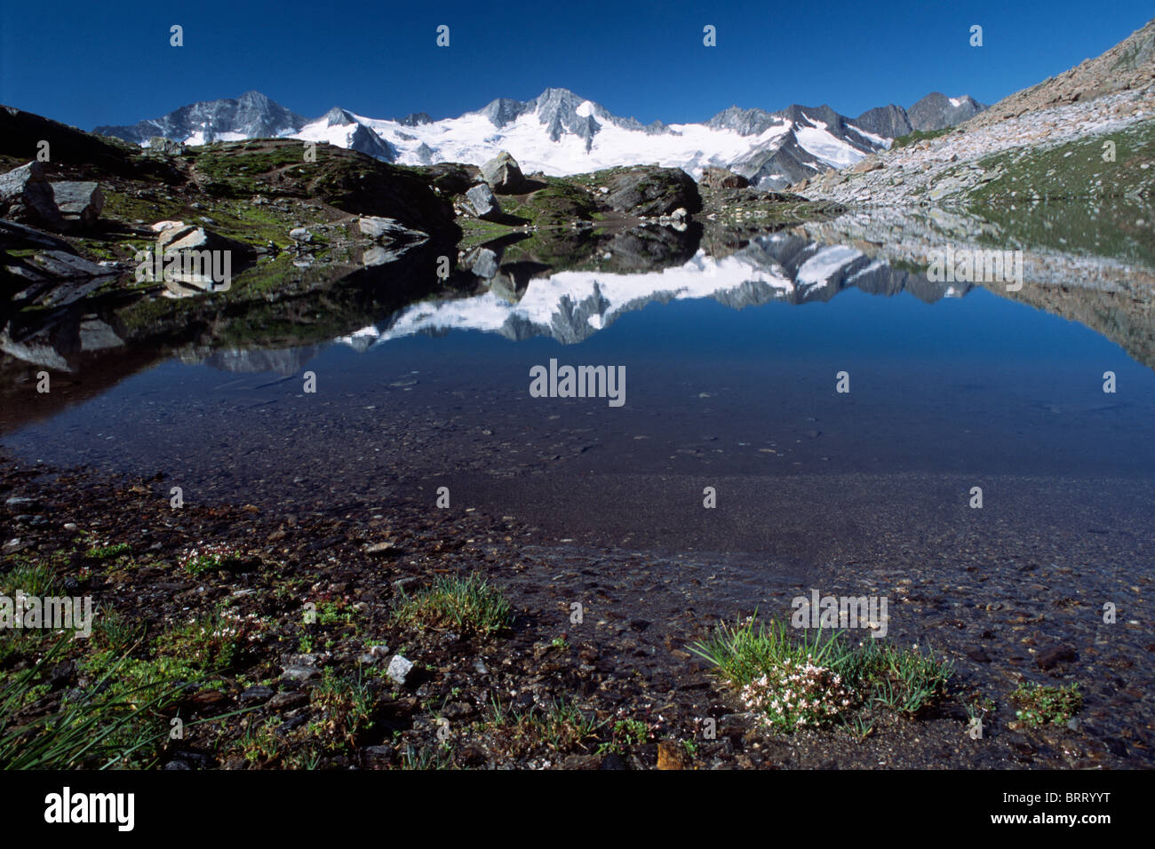 Monte el Grosser Moeseler refleja en el lago Schwarzsee en el Zillertal, al norte de los Alpes del Tirol, Austria, Europa Foto de stock