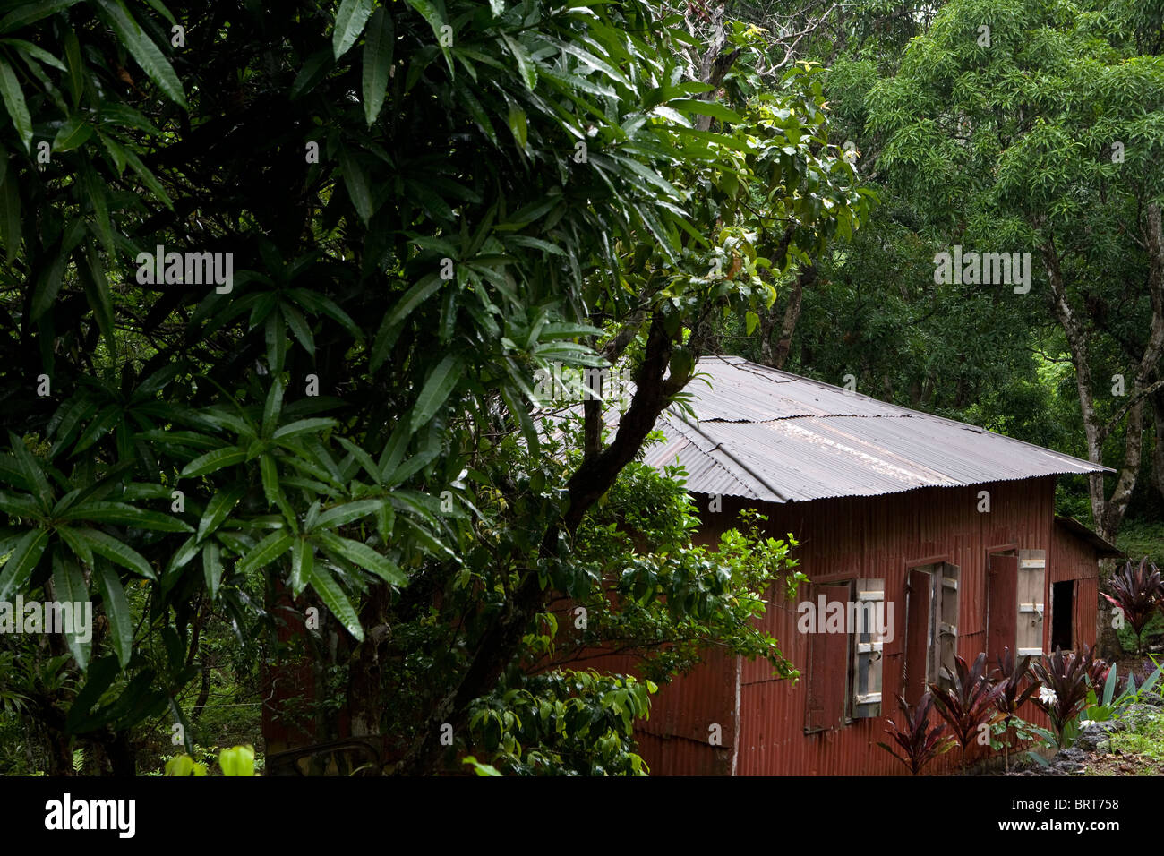 Casa tradicional en las colinas de Sierra Leona África Occidental Foto de stock
