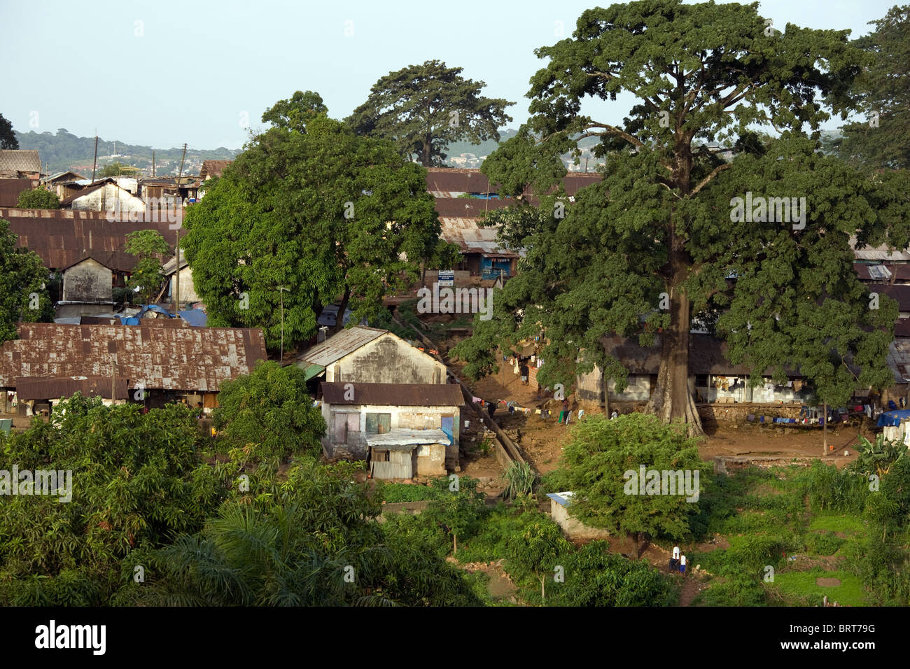 Colina y árbol de algodón en Freetown, Sierra Leona, África occidental Foto de stock