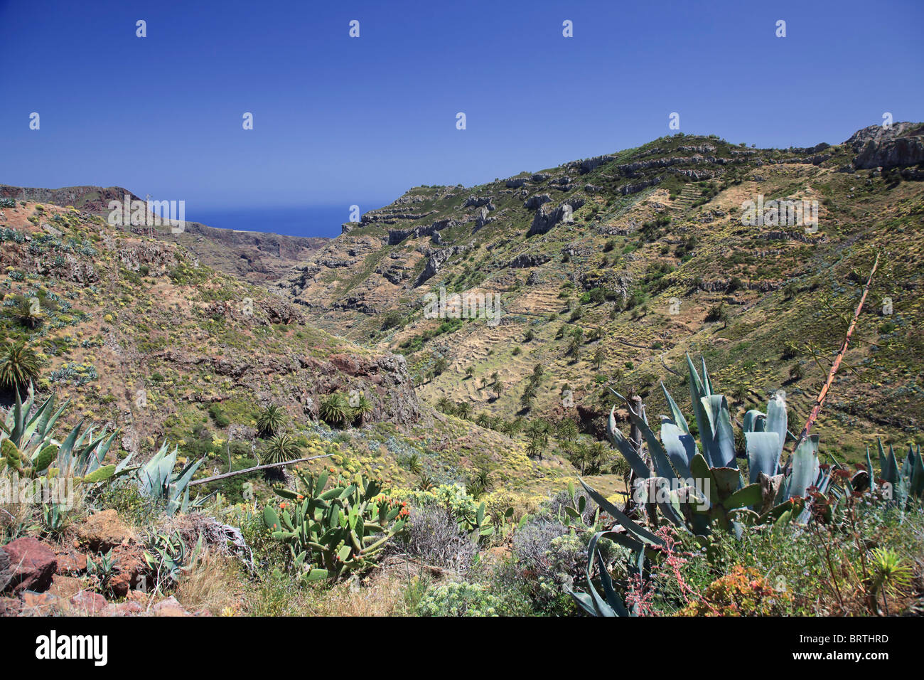 Islas Canarias, La Gomera, Costa Sur Foto de stock