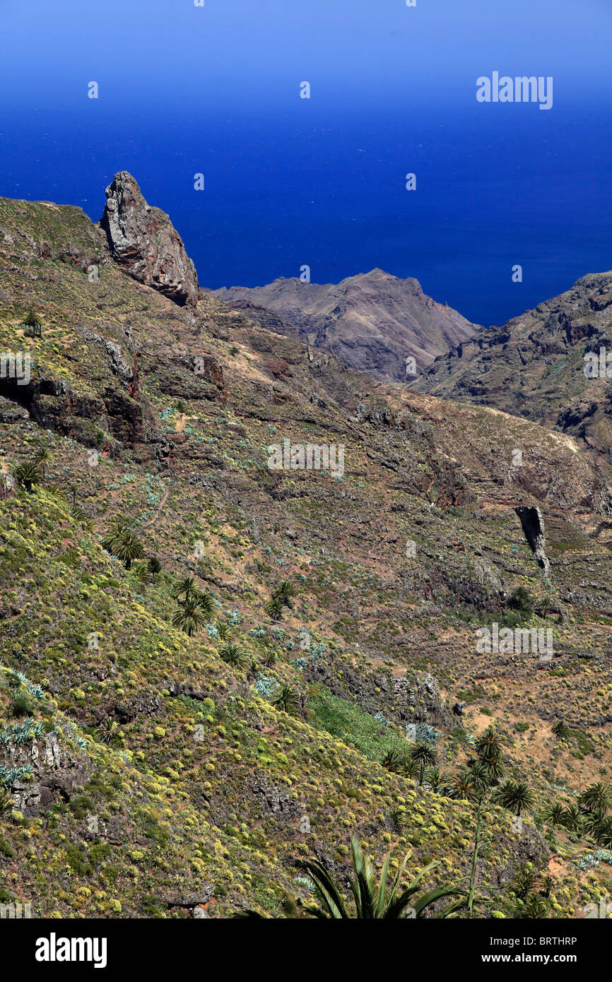 Islas Canarias, La Gomera, Costa Sur Foto de stock