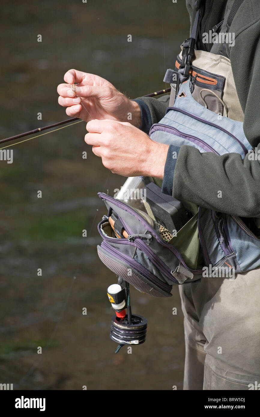 Un pescador con mosca vaciados para trucha arcoiris en el río Metolius en el Oregon Montañas Cascade Foto de stock