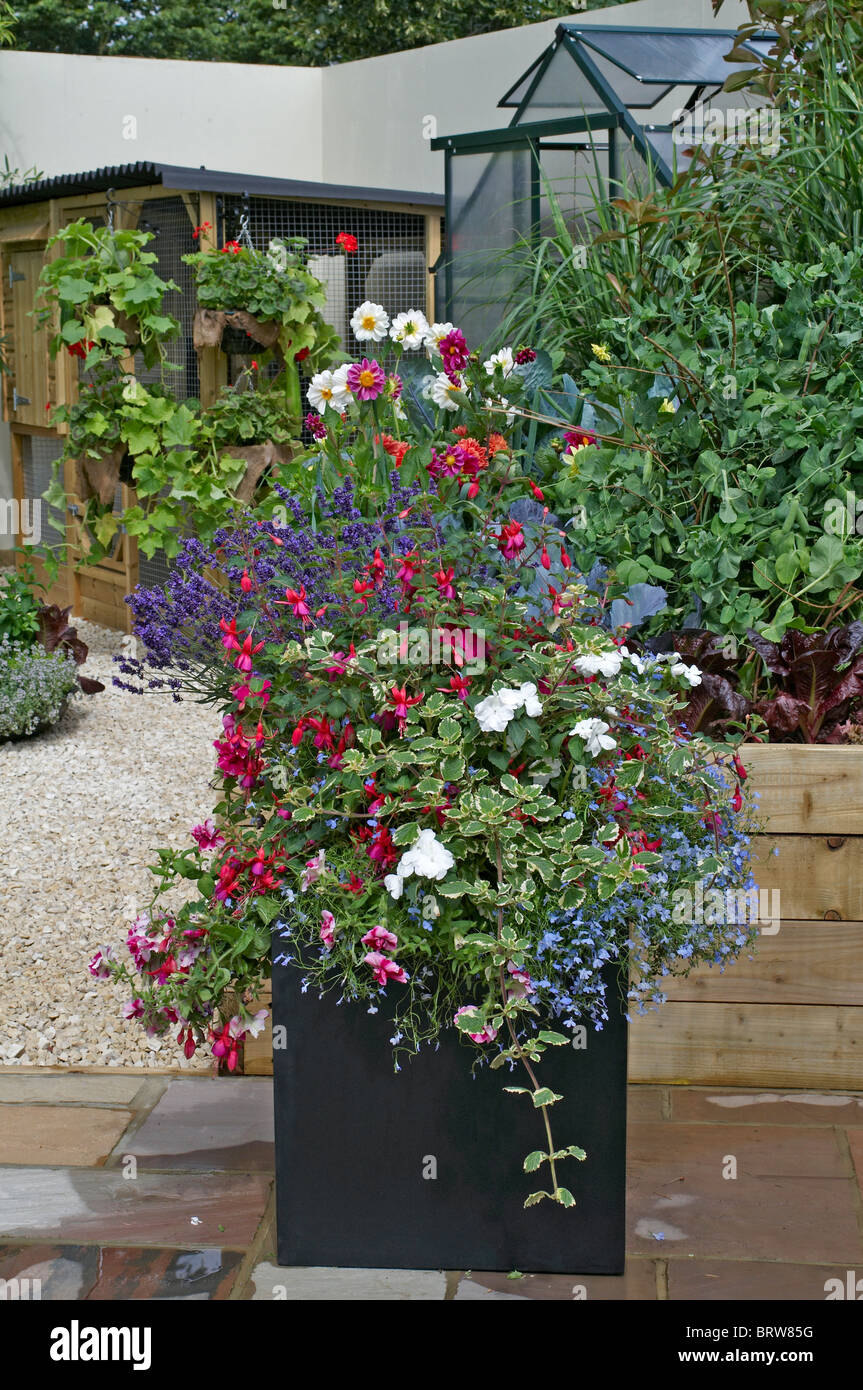 Una vista de las plantas y las flores en un contenedor en un jardín urbano Foto de stock