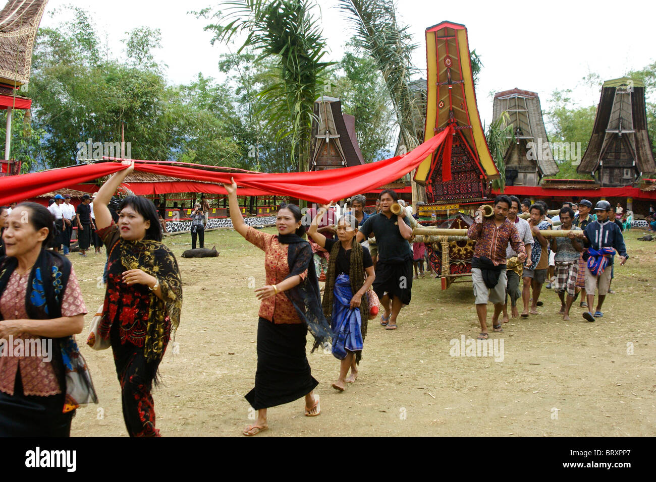 Ceremonia fúnebre, Tana Toraja, en el sur de Sulawesi, Indonesia Foto de stock