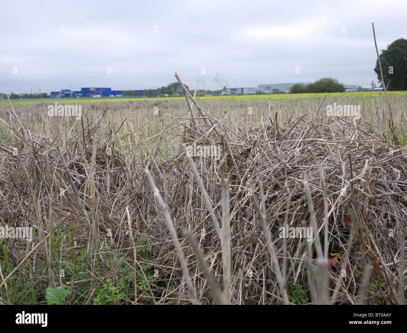 Tierras retiradas, Inglaterra, Reino Unido. Foto de stock