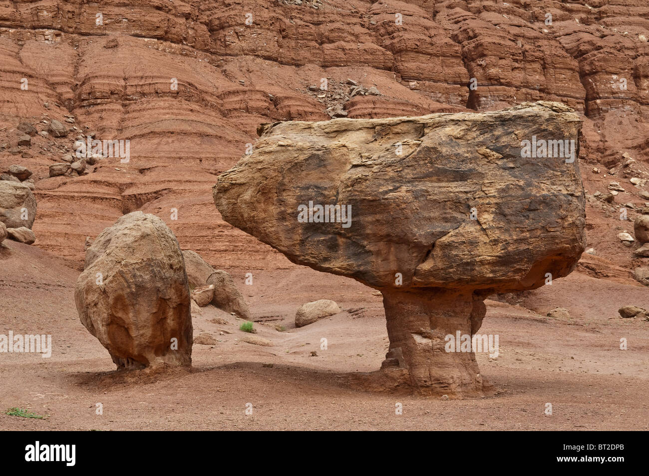 Balanced Rock, Vermillion Cliffs, Marble Canyon, en Arizona, EE.UU. Foto de stock