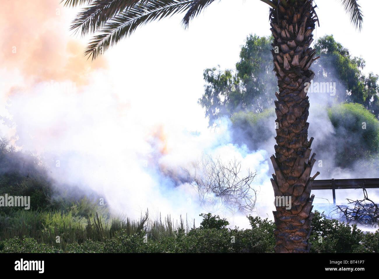 Fire fighter luchando contra las llamas de un fuego de arbusto Foto de stock