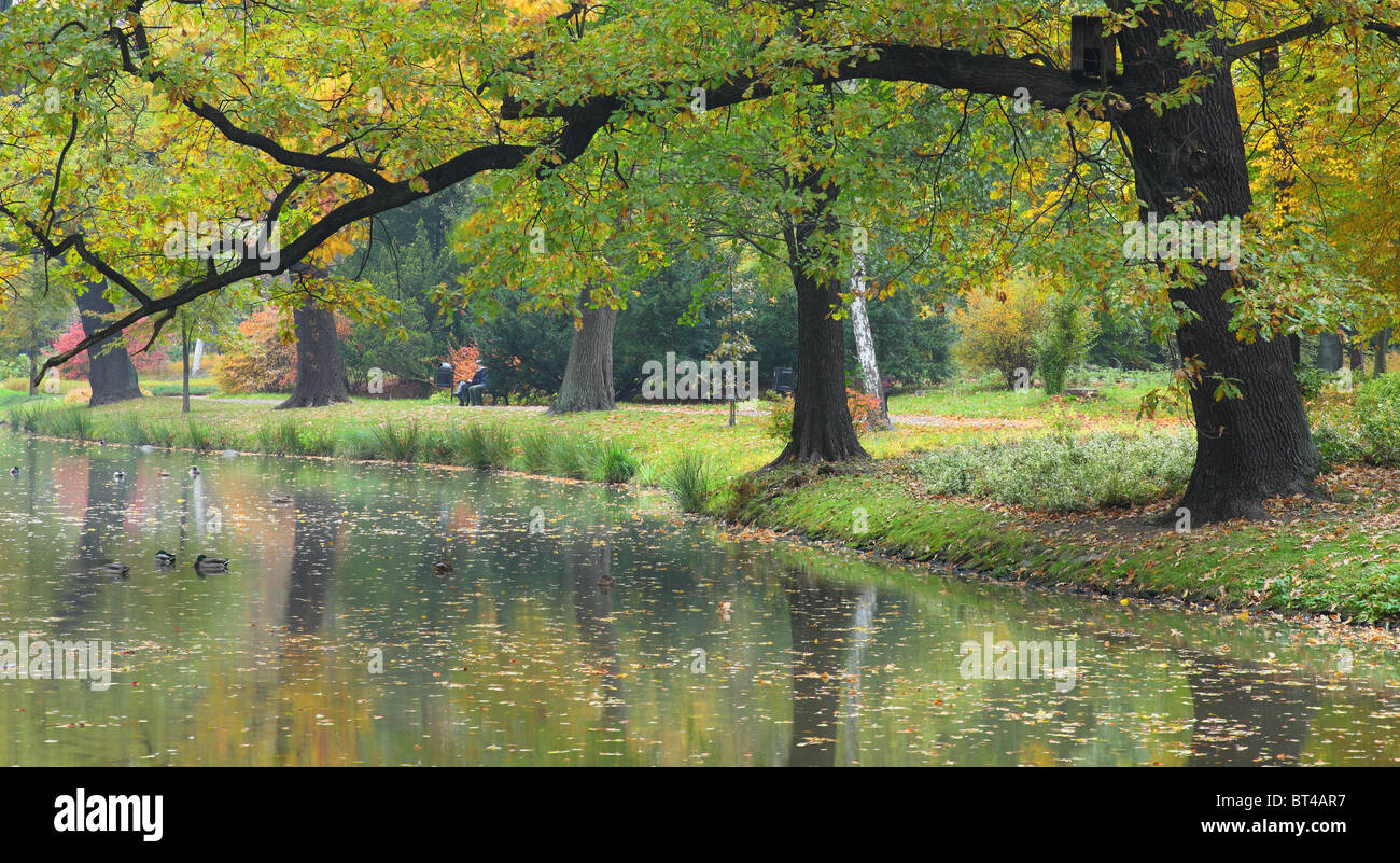Aún tranquila agua y colores de otoño Foto de stock