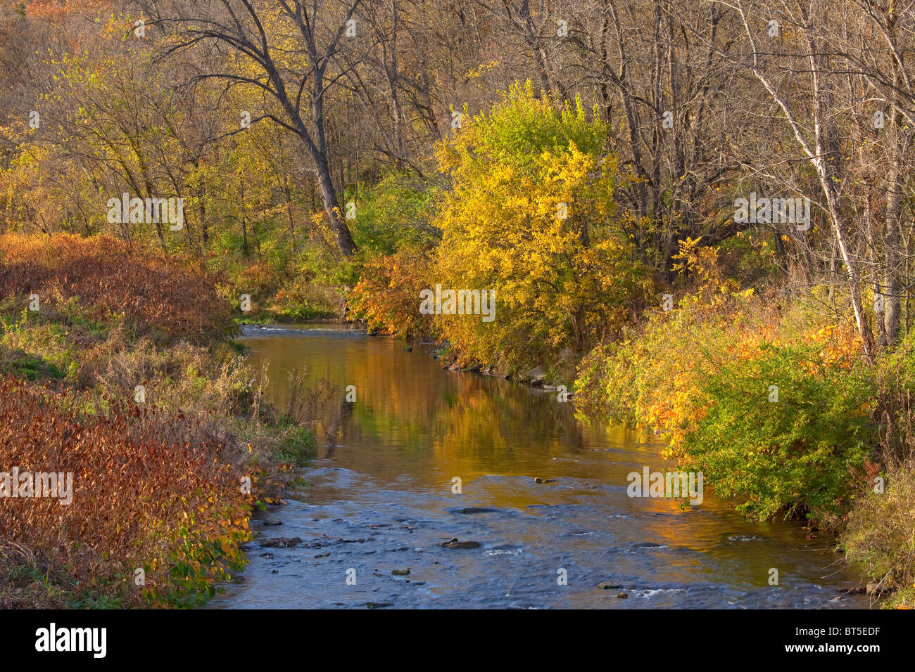 Gran Paint Creek, el Río Amarillo bosques estatales, a lo largo de la zona Driftless desviación, Condado de Allamakee escénica, Iowa Foto de stock