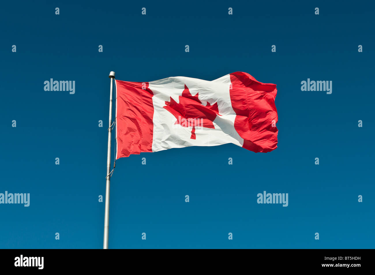 Una bandera Canadiense olas en una brisa fuerte delante de un cielo azul claro Foto de stock