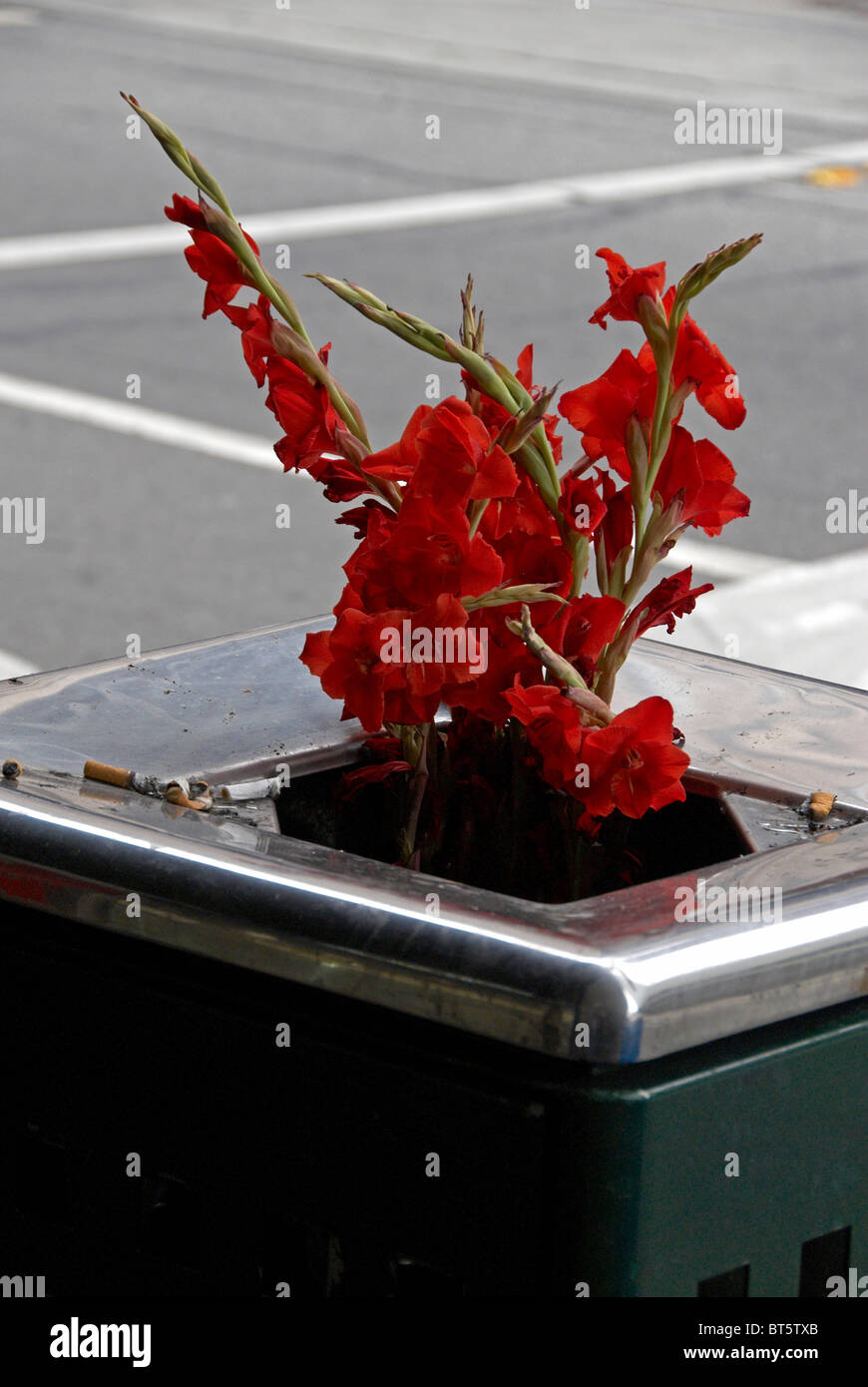 Las flores rojas arrojados a la papelera en la calle Fotografía de 