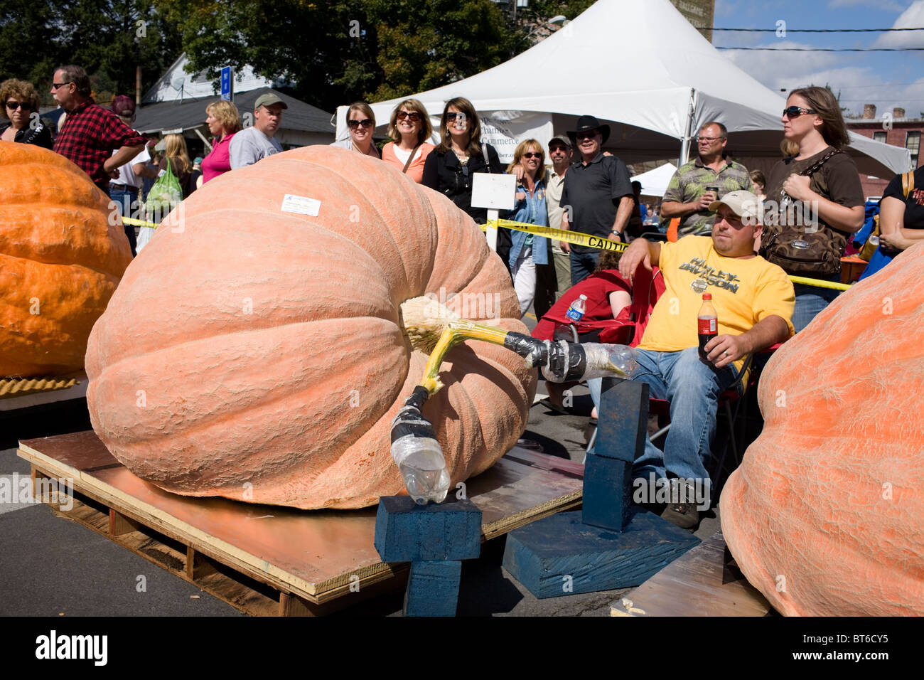 Calabazas gigantes en Festival de calabaza, en Cooperstown, Nueva York Foto de stock