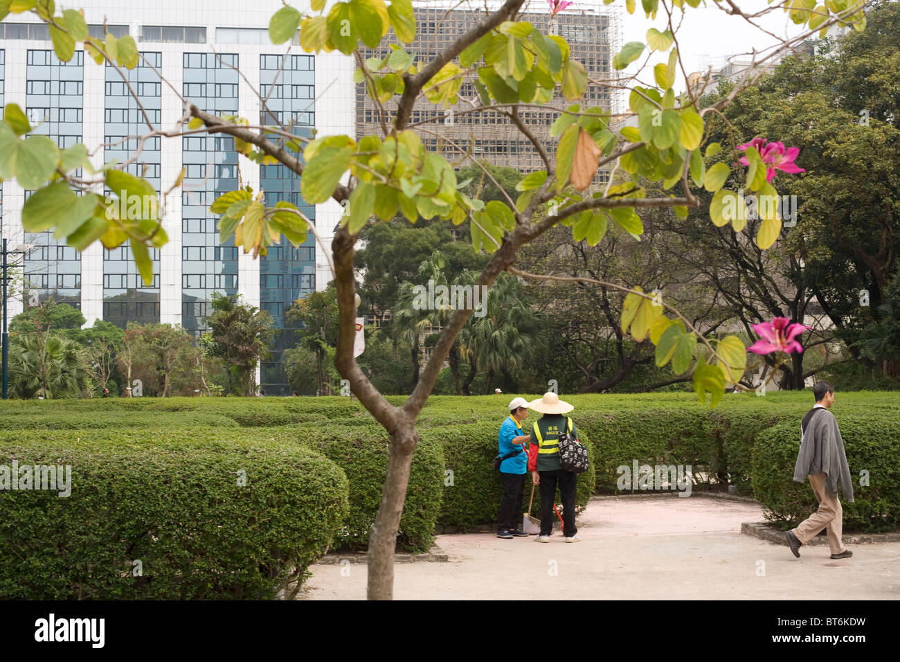 La escena del parque en Hong Kong Foto de stock