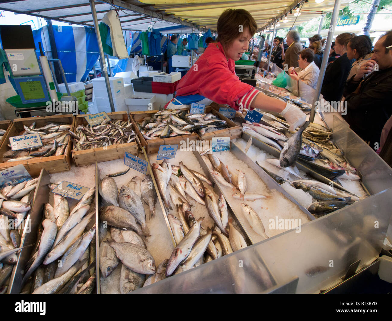 Descarga de pescado en el mercado tradicional en la Bastilla de París Francia Foto de stock