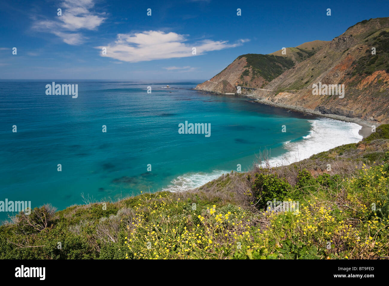 Playa solitaria en el Océano Pacífico, la Highway 1, California, EE.UU. Foto de stock