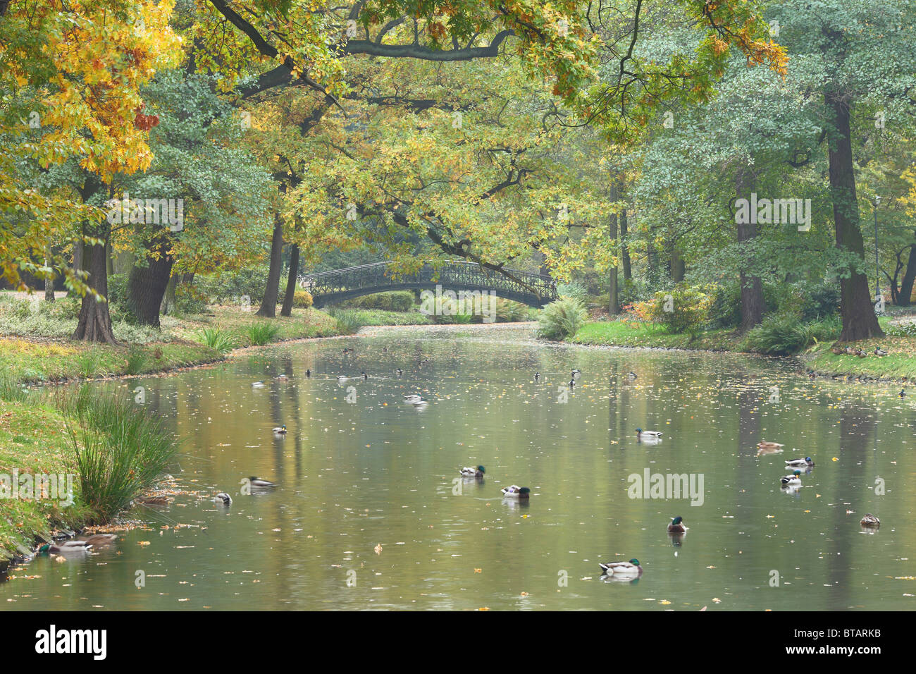 Tranquila tranquila aguas calmas y otoño colores de otoño Foto de stock