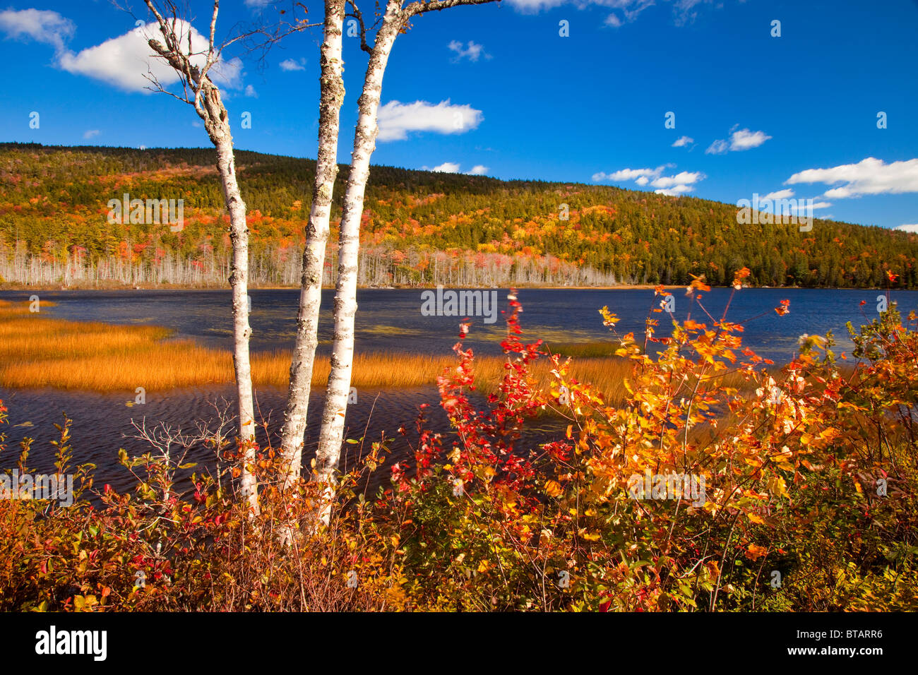 Colores de otoño en el Upper Hadlock estanque en el Parque Nacional de Acadia, Maine, EE.UU. Foto de stock