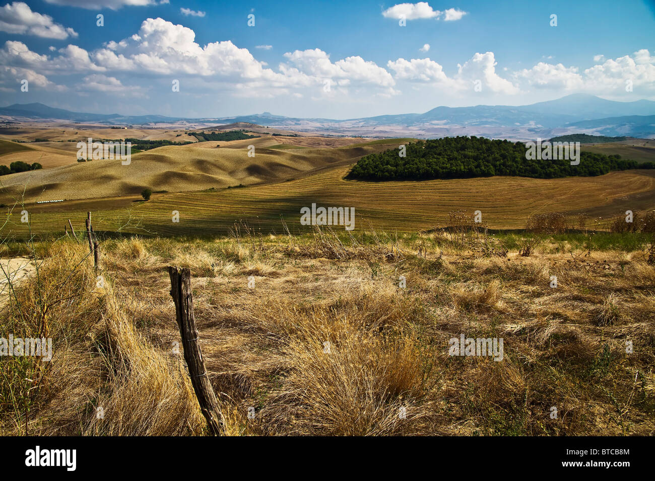 Golden ondulantes colinas cerca de Pienza Toscana Italia Foto de stock