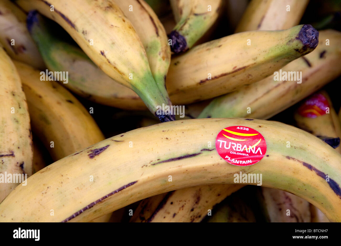 Plátano desde Colombia a la venta en la tienda de Londres Foto de stock