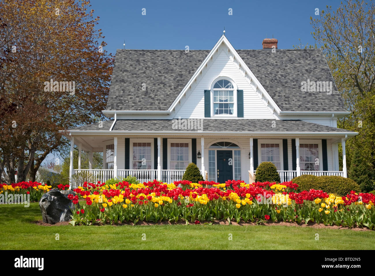 Una casa con grandes parterres llenos de tulipanes. Foto de stock