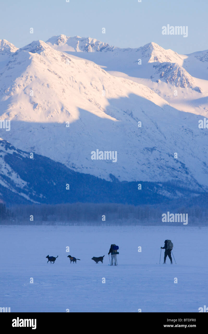 Dos esquiadores de fondo con perros ski en un lago a lo largo de Seward Highway snowcovered con montañas de fondo, Alaska Foto de stock