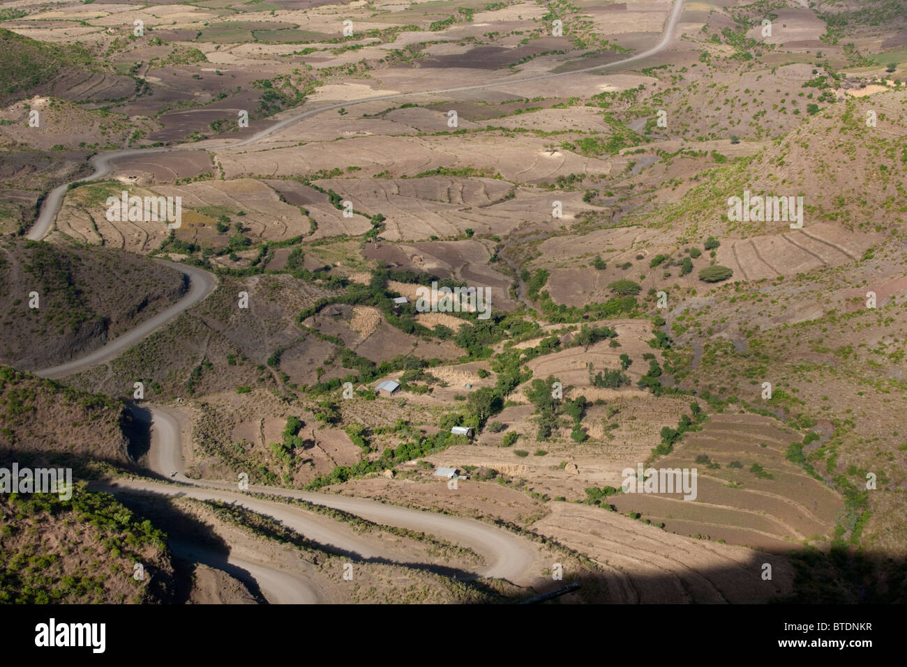 Campos agrícolas con teff y la campiña que la rodea visto de Lalibela Foto de stock