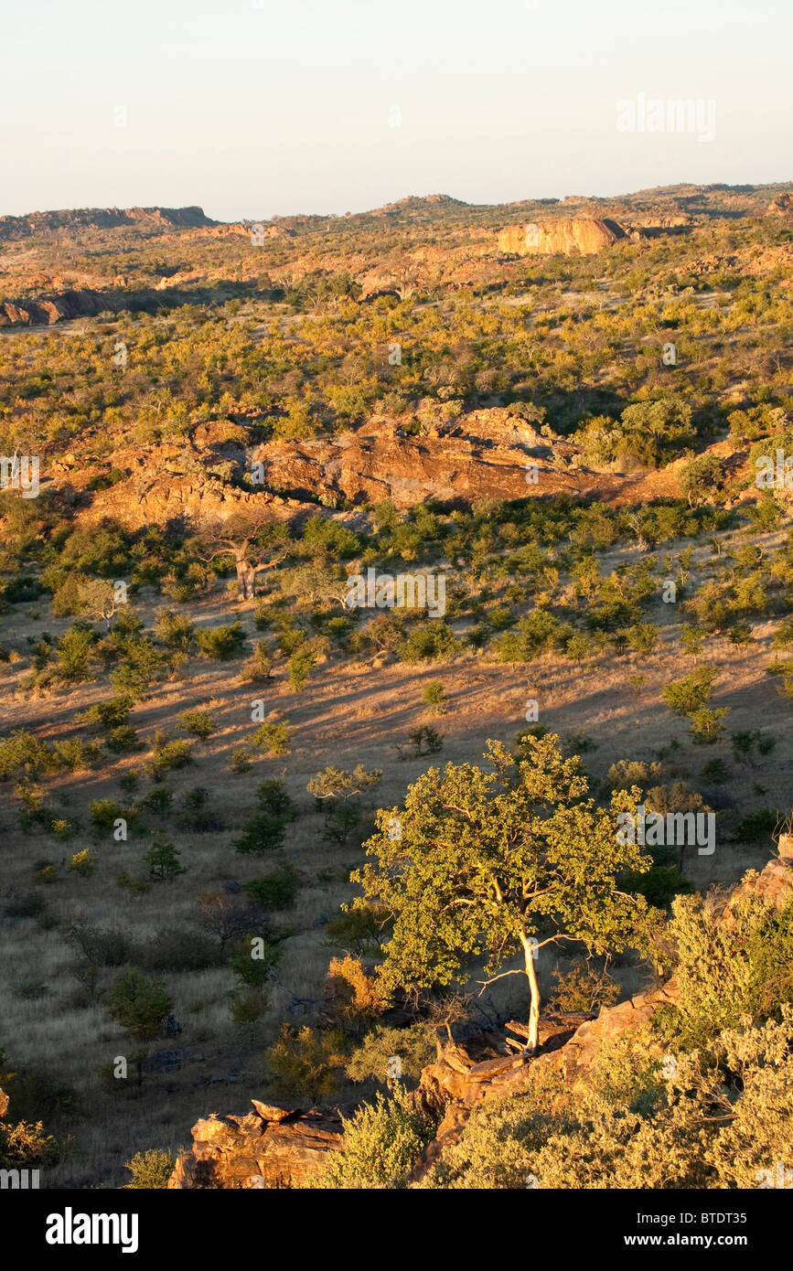 El paisaje de Mapungubwe y el Rocky koppies típica de la zona. Foto de stock