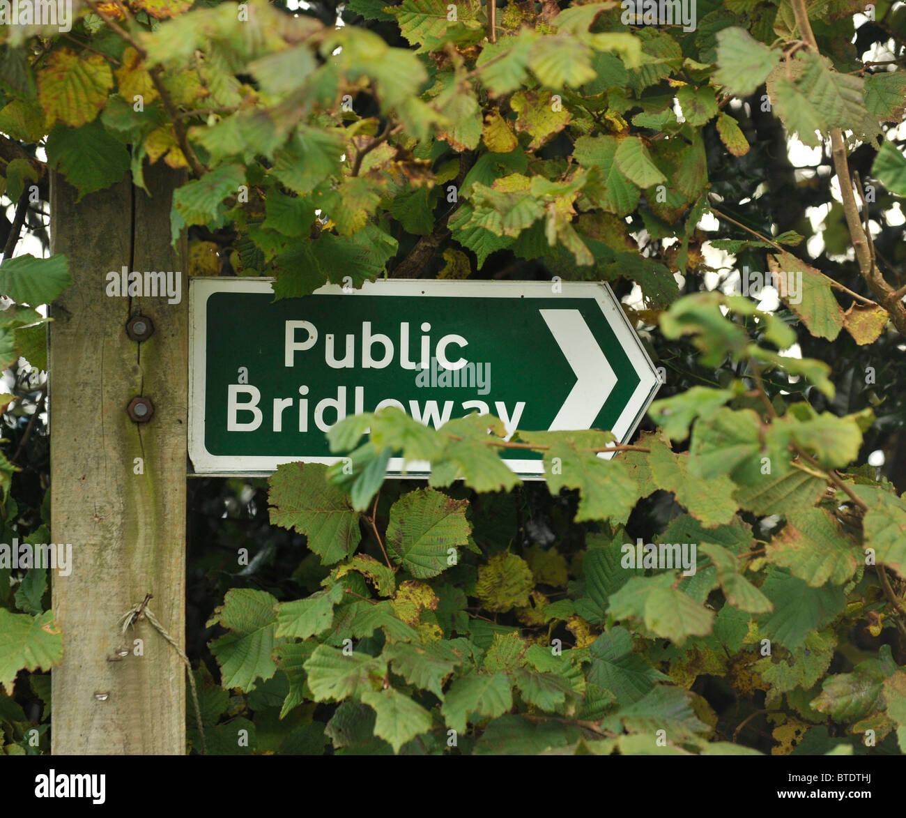 Signo bridleway público oculto en el follaje Foto de stock
