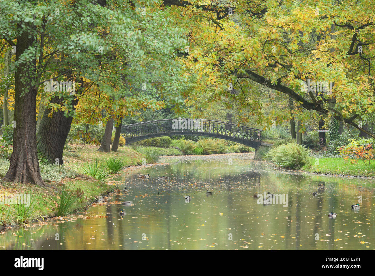 Tranquila tranquila aguas calmas y otoño colores de otoño Foto de stock