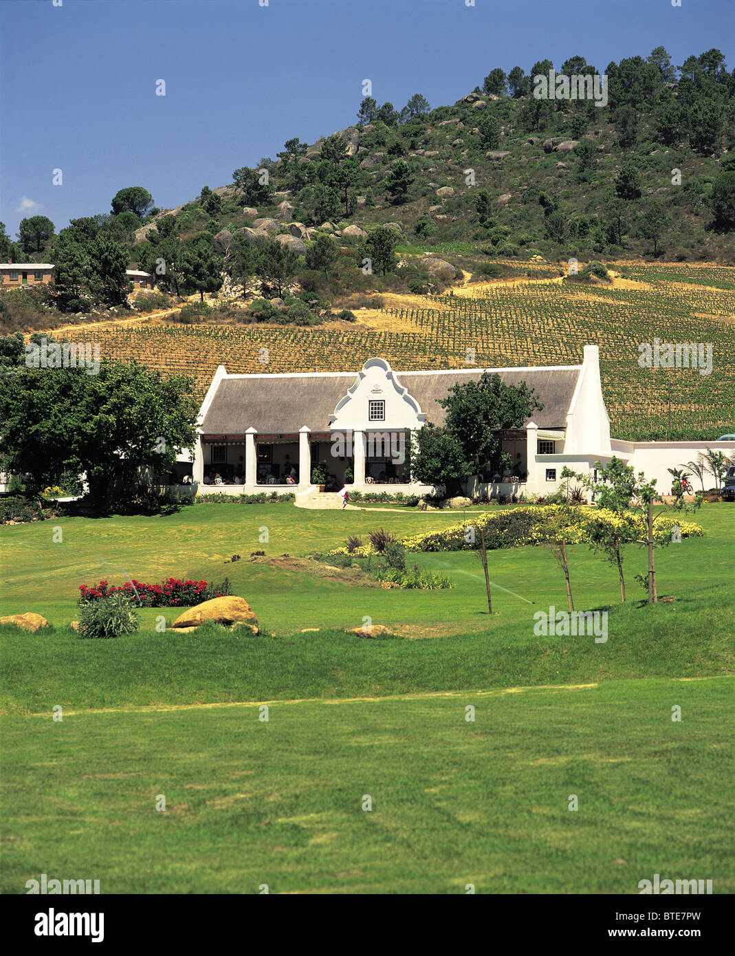 Rheboskloof Wine Farm en Western Cape Foto de stock