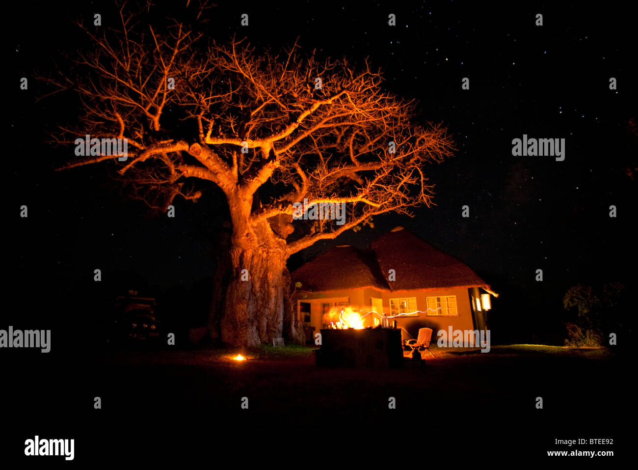 Un chalet en campamento Simuwini empequeñecidos por un árbol de baobab vistos en una noche estrellado Foto de stock